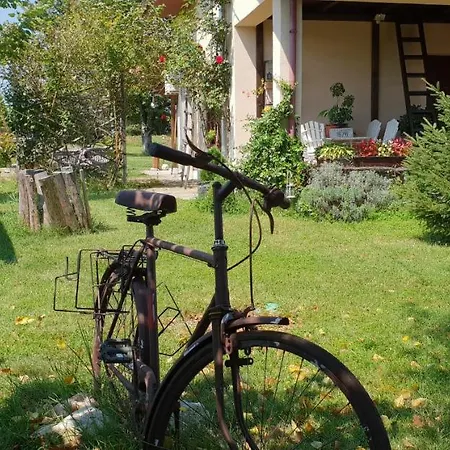 Country House Vuksanovic