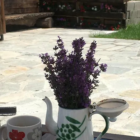 Country house Country House Vuksanovic